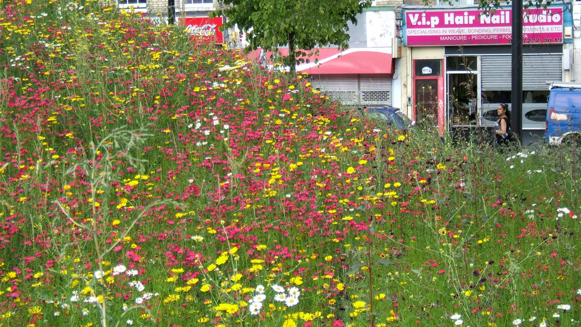 15July05 015