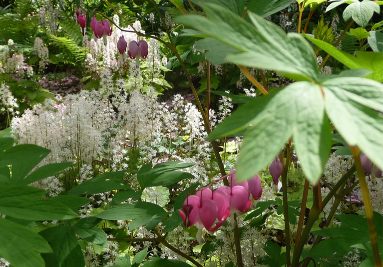 Duncan Terrace Gardens